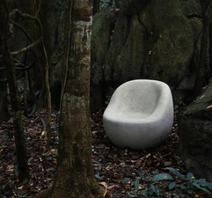 DESTONOS UNVEILED: Mementos of the Natural World