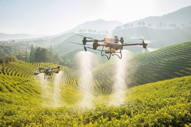 Transforming Philippine Agriculture: DJI Agriculture Introduces High-Precision Drone Technology for Farmers
