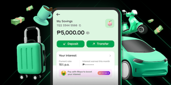 Get Your Money Together Like A Pro with Maya