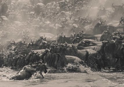 Southeast Asia’s Panoramic Vision Captivates at the 2025 Epson International Pano Awards