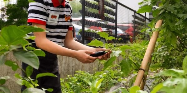 Your Kenny Rogers Roasters Chimichurri Helps the City Eat Healthy, Too 