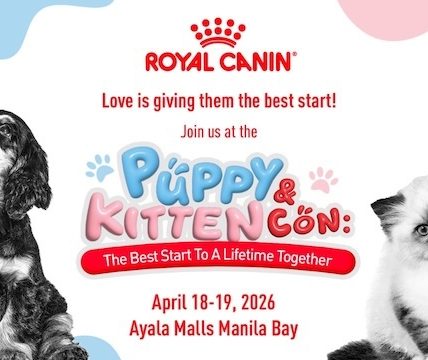 New Pet, New Questions: What First-time Pet Parents Often Overlook Early On Royal Canin