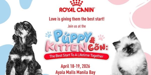 New Pet, New Questions: What First-time Pet Parents Often Overlook Early On Royal Canin