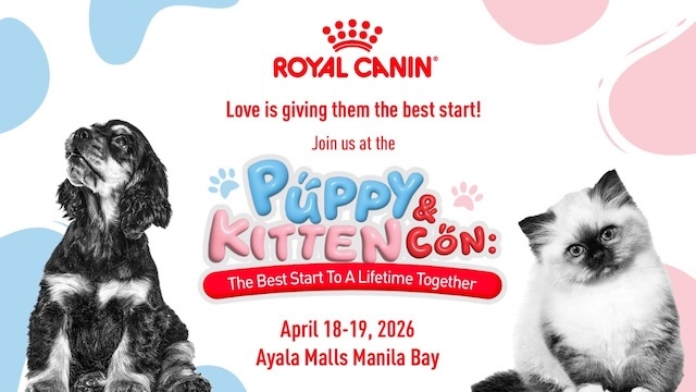 New Pet, New Questions: What First-time Pet Parents Often Overlook Early On Royal Canin