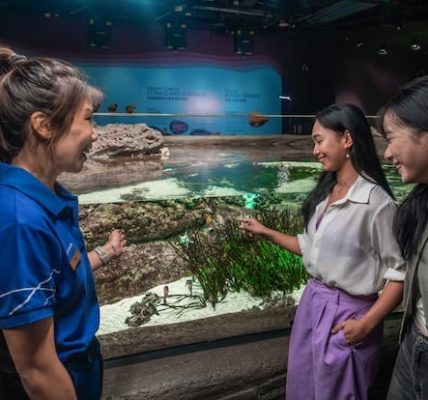 Singapore Oceanarium spotlights native seahorses through exclusive guided experience 