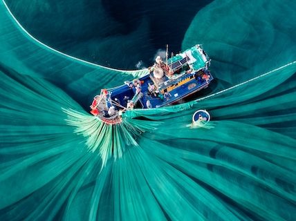 Epson Southeast Asia invites entries for The 17th Epson International Pano Awards 2026 