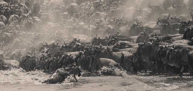 Epson Southeast Asia invites entries for The 17th Epson International Pano Awards 2026 