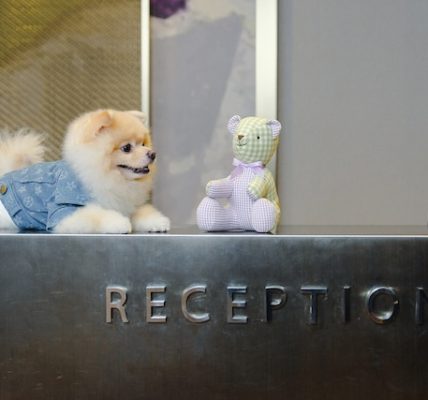 Paws, Pamper, Repeat: Eastwood Richmonde Hotel Partners with Barkhaus for the Ultimate Petcation